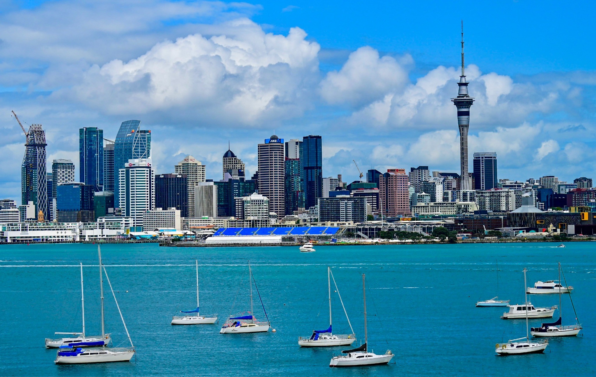 Auckland skyline across blue harbor water with sailboats